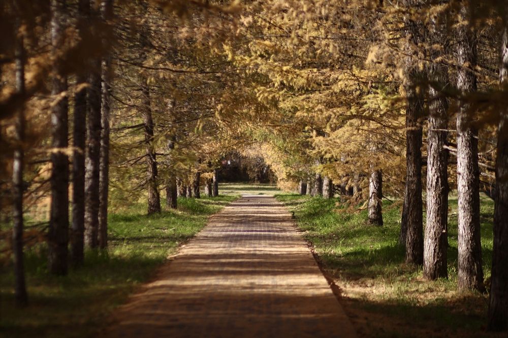 Photograph by Oksana