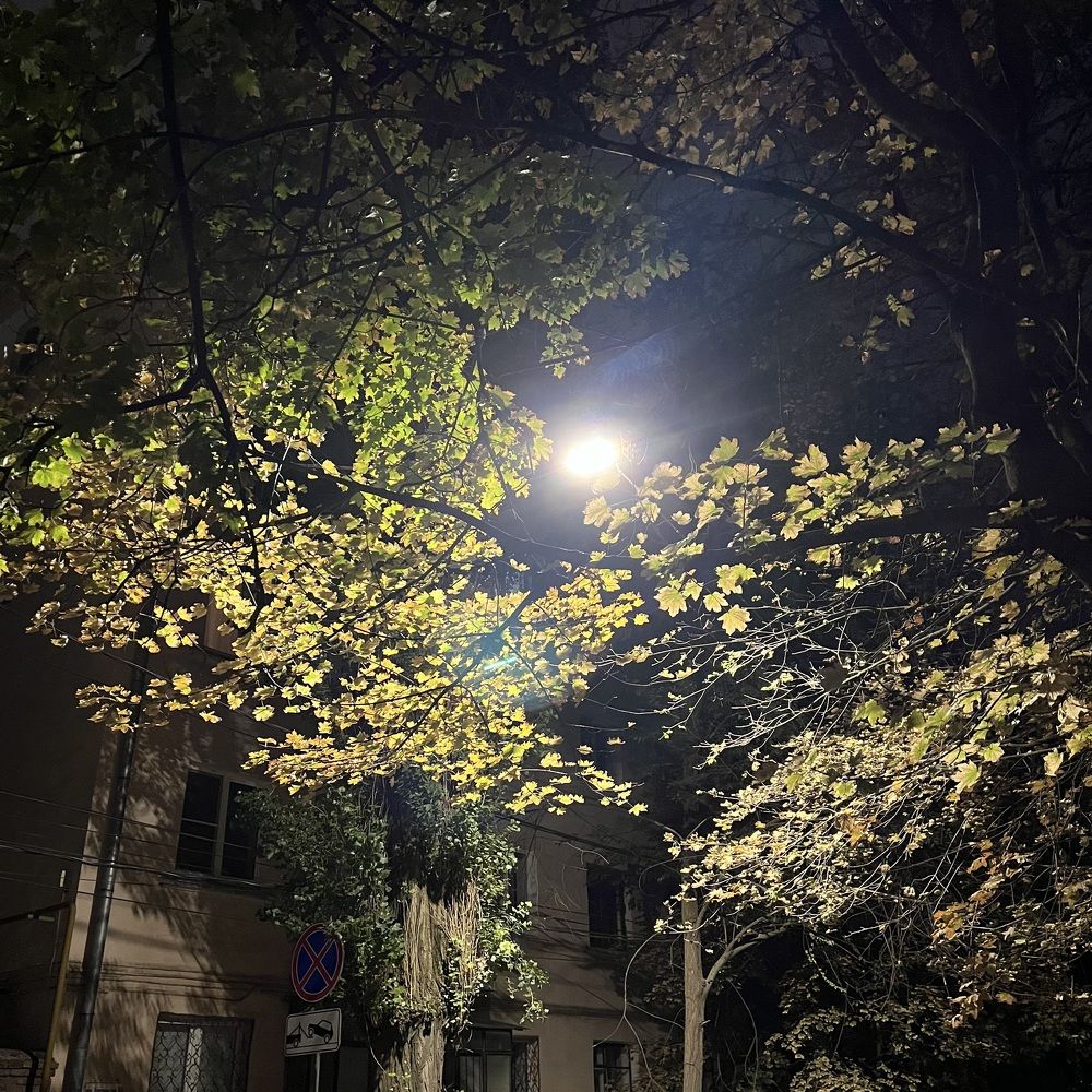 Photograph by алина мец