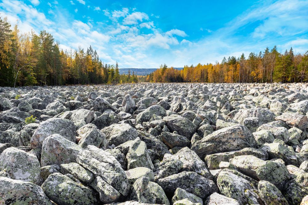 Photograph by Денис Новокрещенов