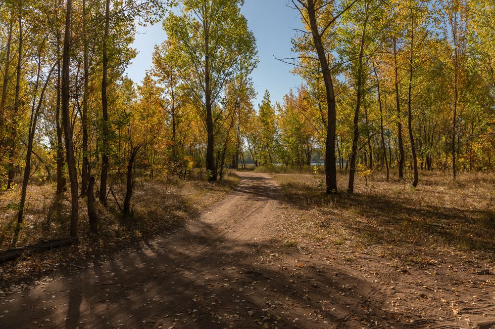 Photograph by Татьяна Гузева