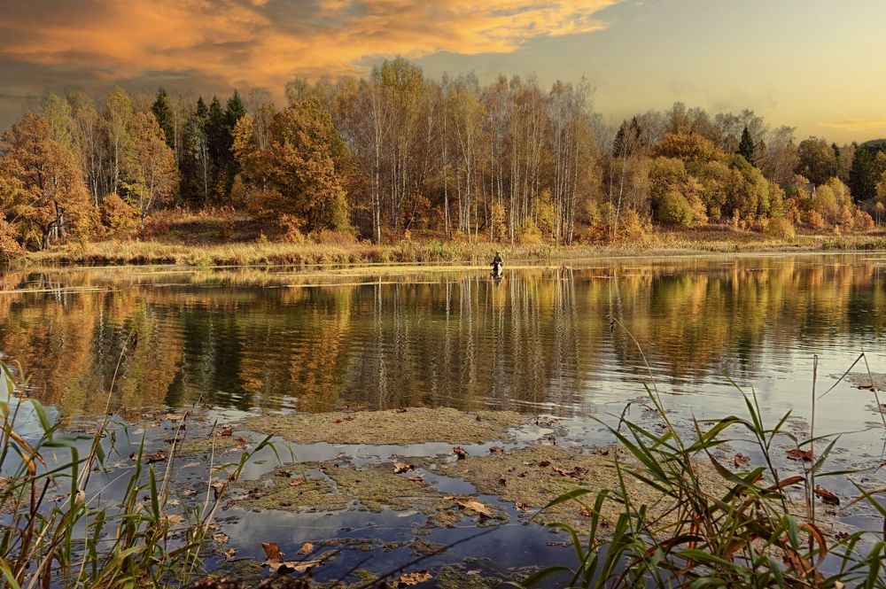 Photograph by Андрей Пучков