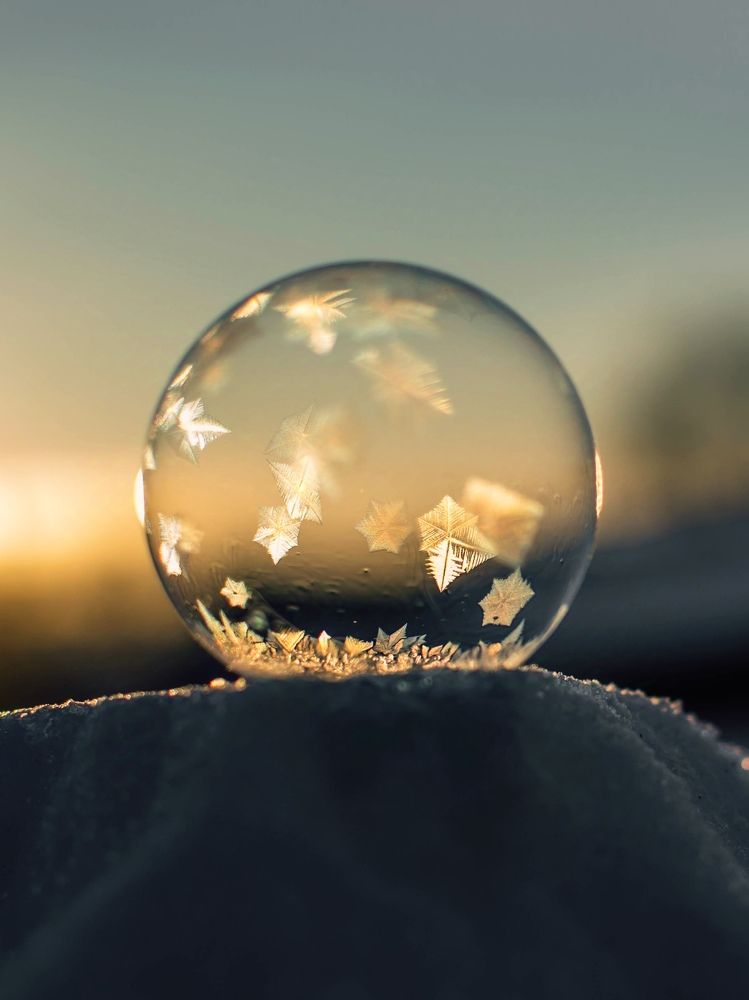 Photograph by Людмила Прибылова