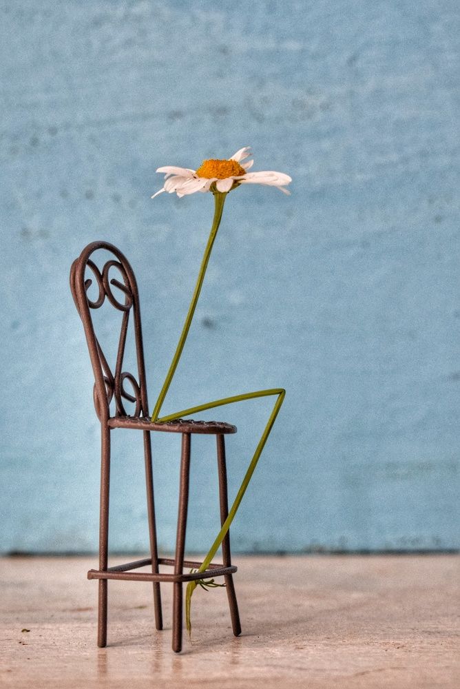 Photograph by Антонина Шабышева