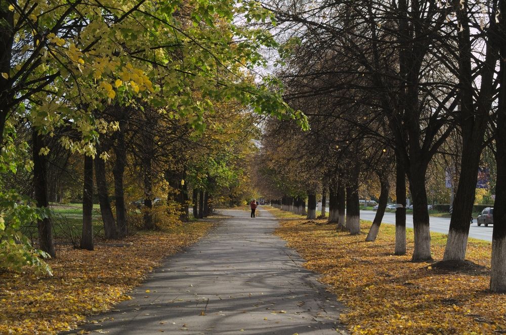 Photograph by Шамина Вера