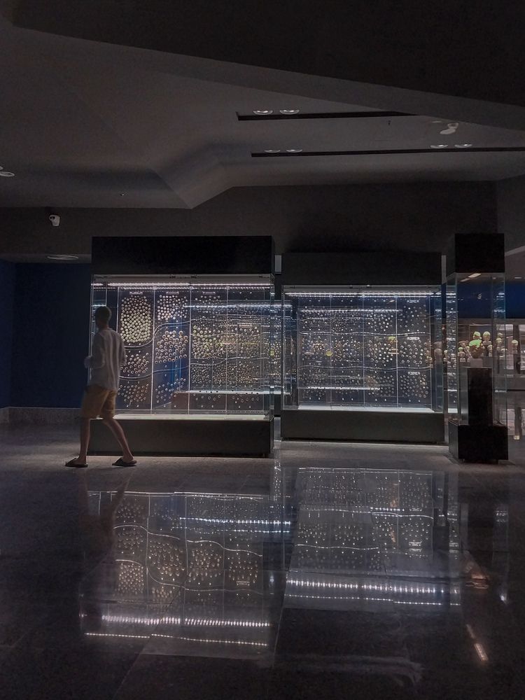 Фотография автора Mennatullah Dakhly