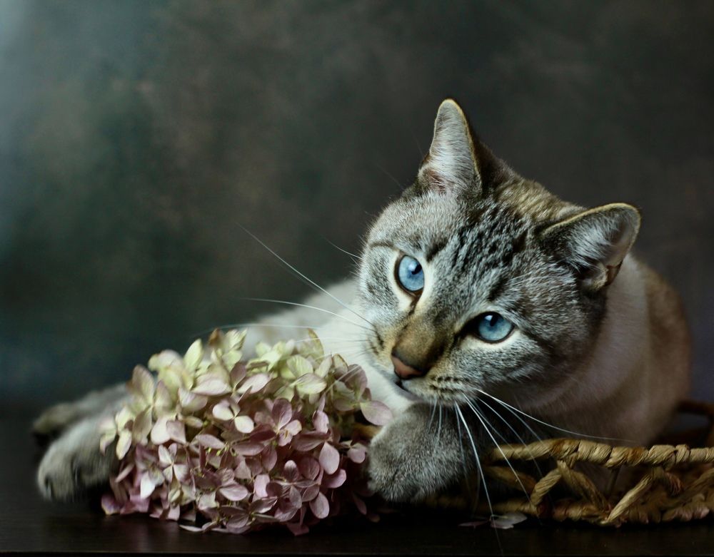 Photograph by Елена Карпухно