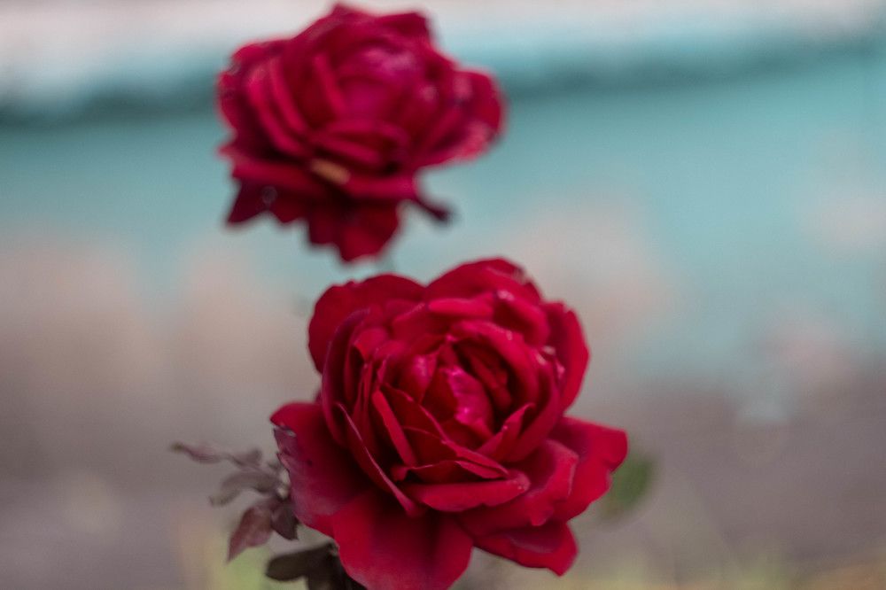 Осенние краски