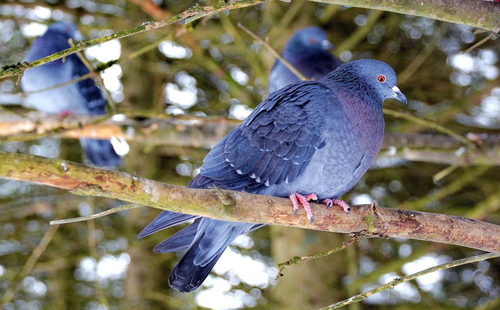 Photograph by Виталий Симоненков