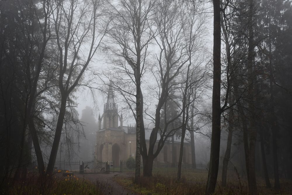 Photograph by Alexei Polikarpo