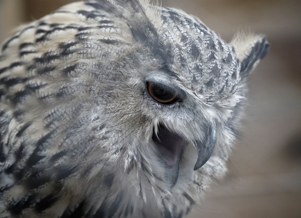 Photograph by Марина Безенкина