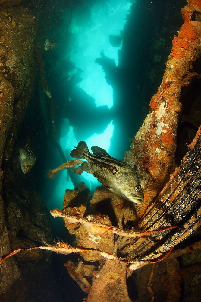 Photograph by Нарчук Андрей