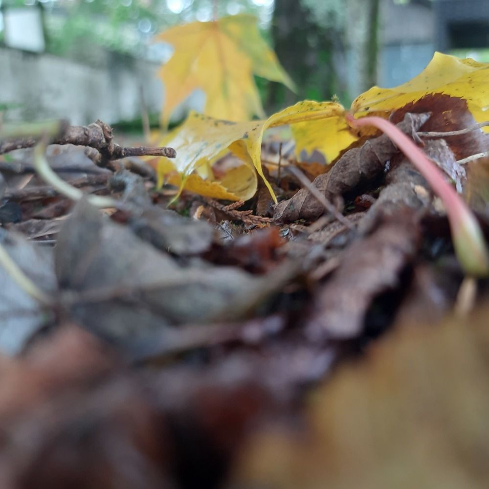 Photograph by sameera madushantha