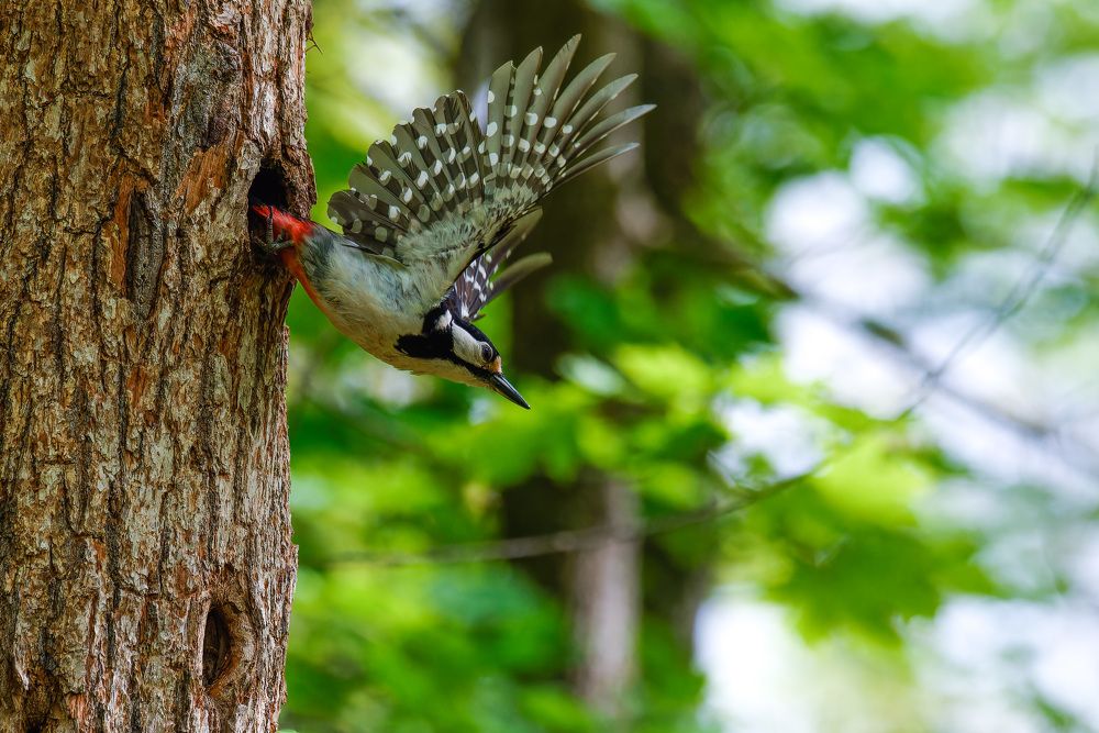 Photograph by Сергей Немцев