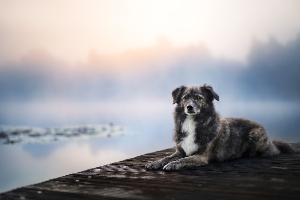 Mystical Winter Mood