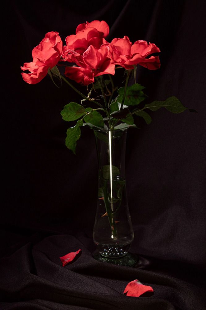 Photograph by Анна Васильева