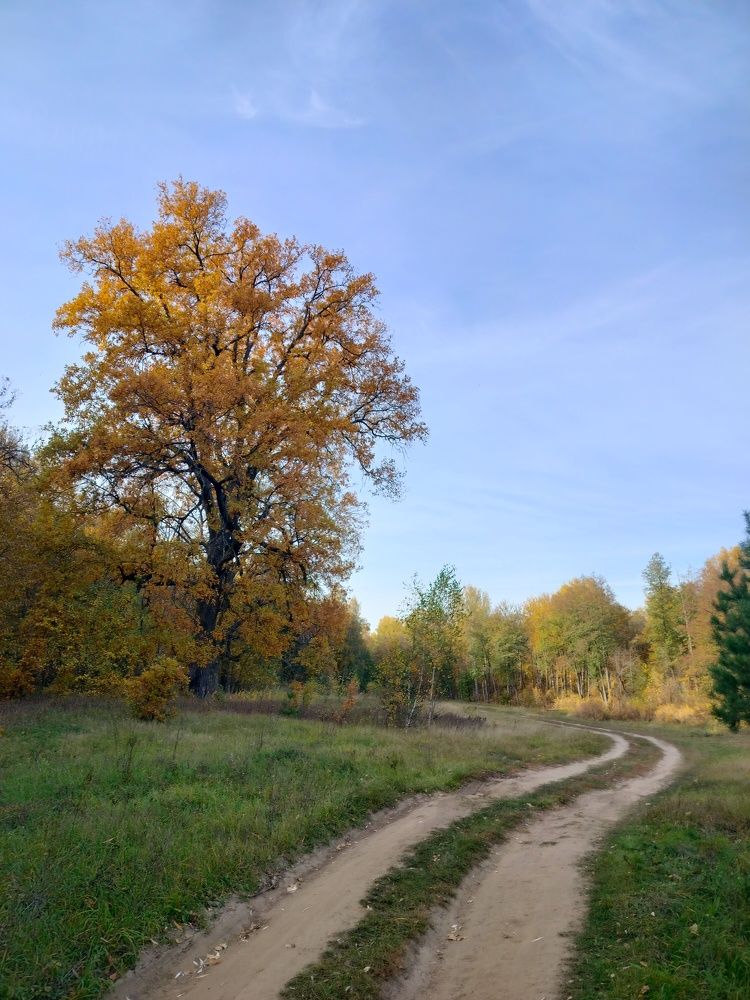 Фотография автора Екатерина