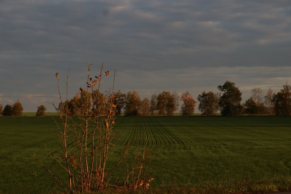 Photograph by Татьяна Макарова