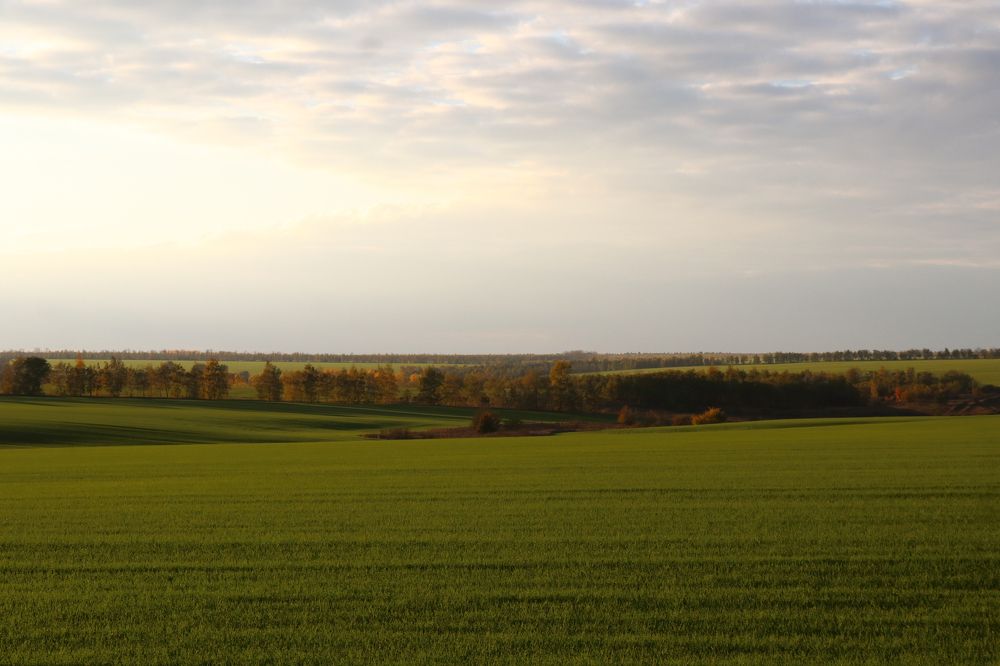 Photograph by Татьяна Макарова