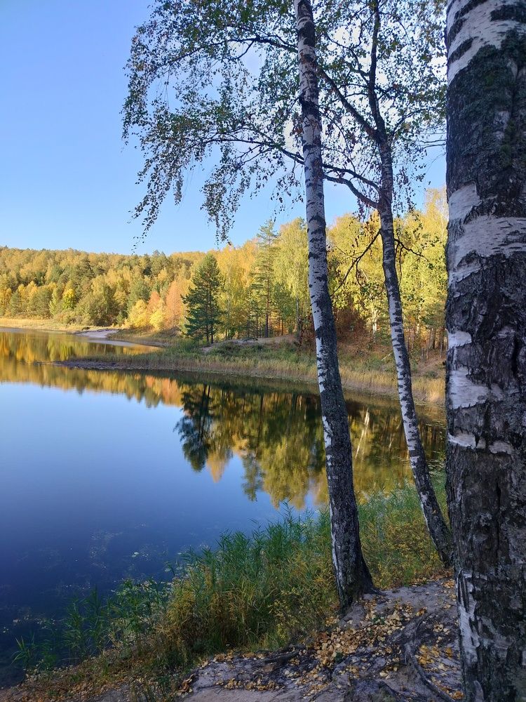 Фотография автора Екатерина