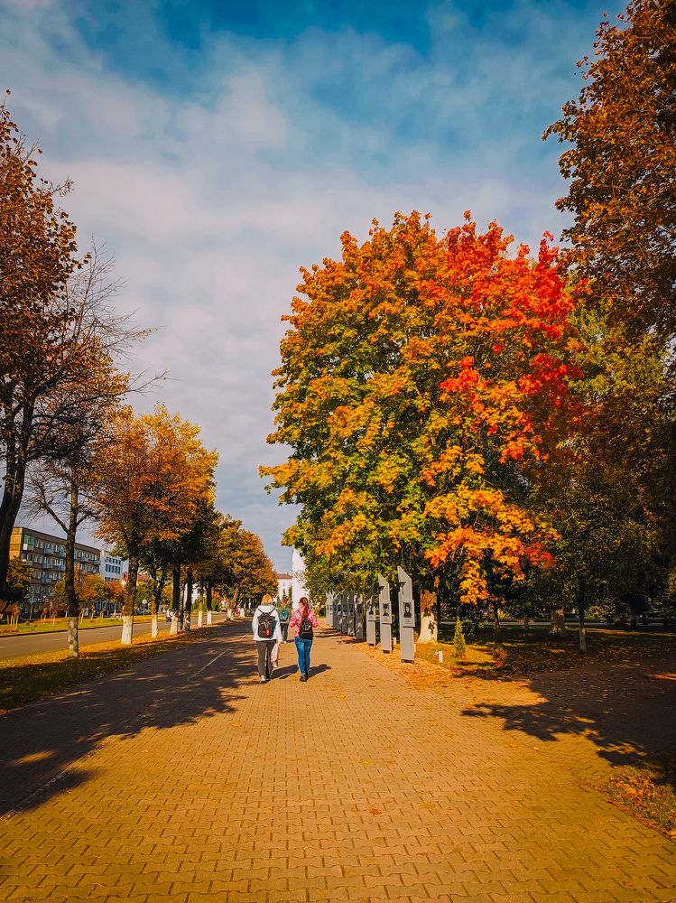 Photograph by Олеся Бронзова