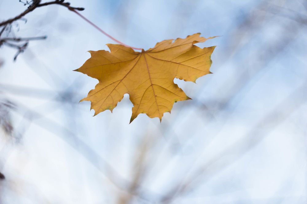 Осеннее настроение