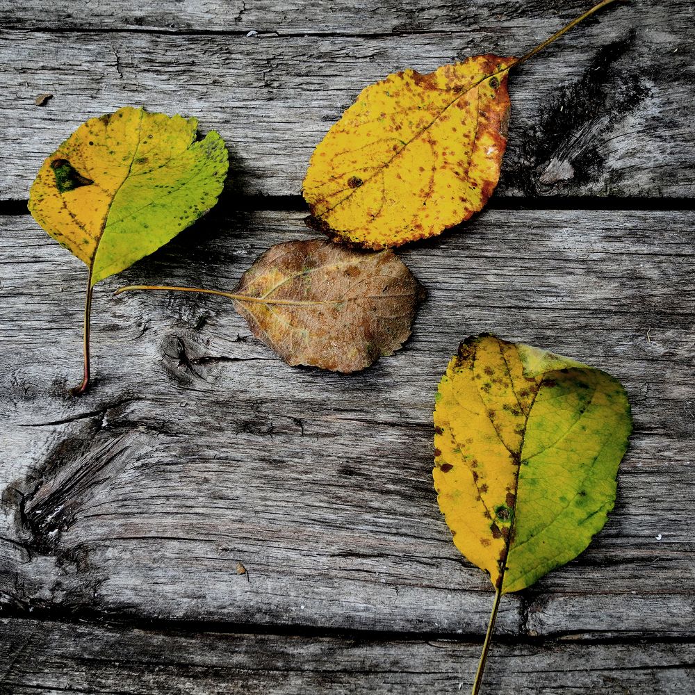 Photograph by Рыжков Роман