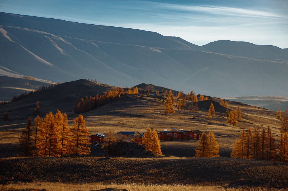 Фотография автора Эльвира Чернова