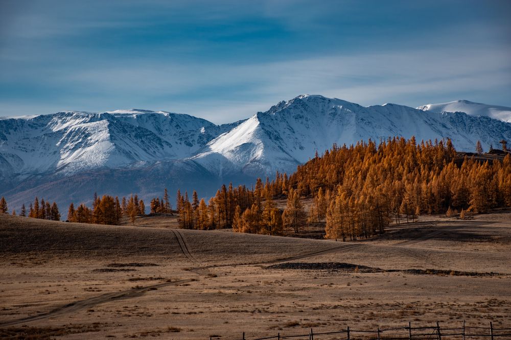 Фотография автора Эльвира Чернова
