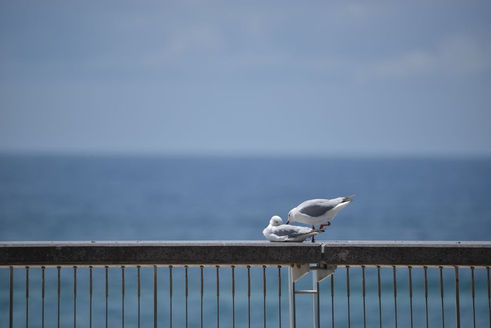 Photograph by Игорь Двойных