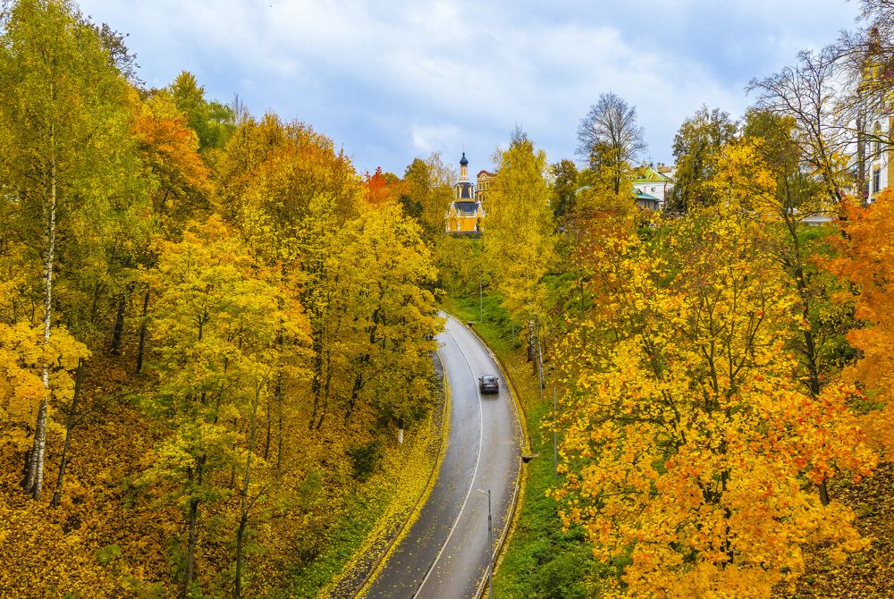 Осень золотая