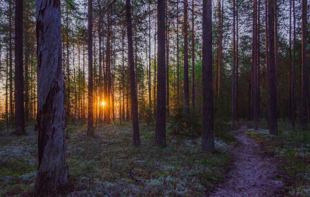Photograph by Виктория Валерьевна