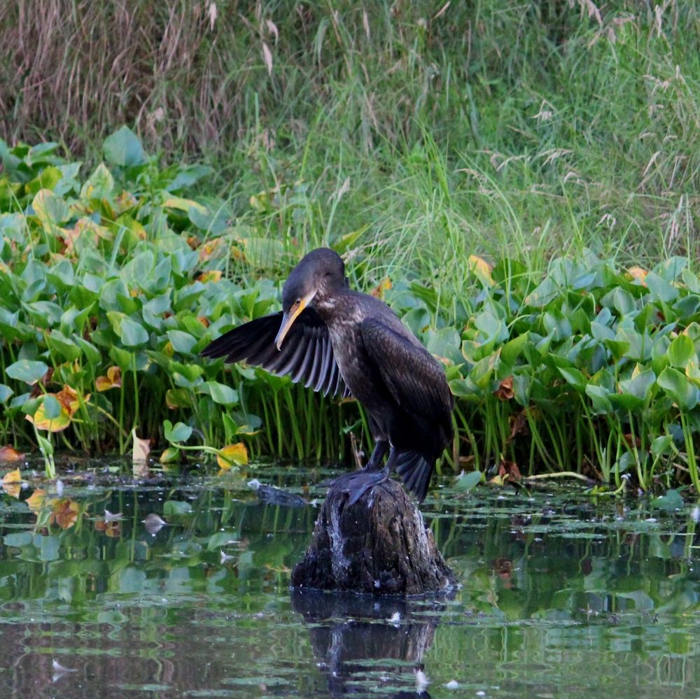 Photograph by Наталья Никитенко