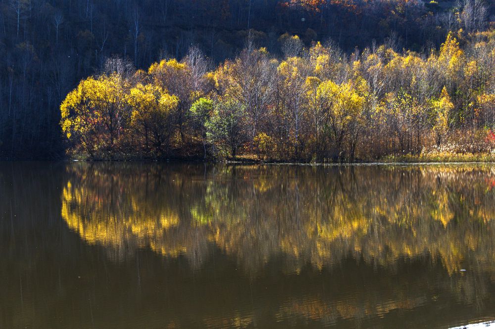 Photograph by Sergey Tsubanov