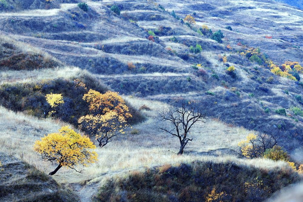 Photograph by Yury Vislaus