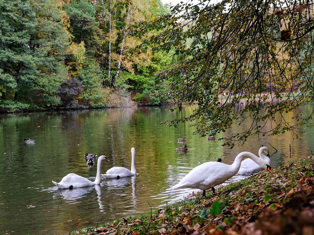 Photograph by Татьяна Павловская