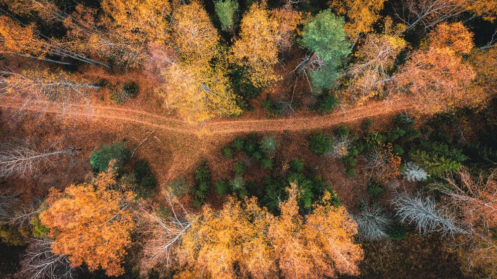 Photograph by Александр Давидик