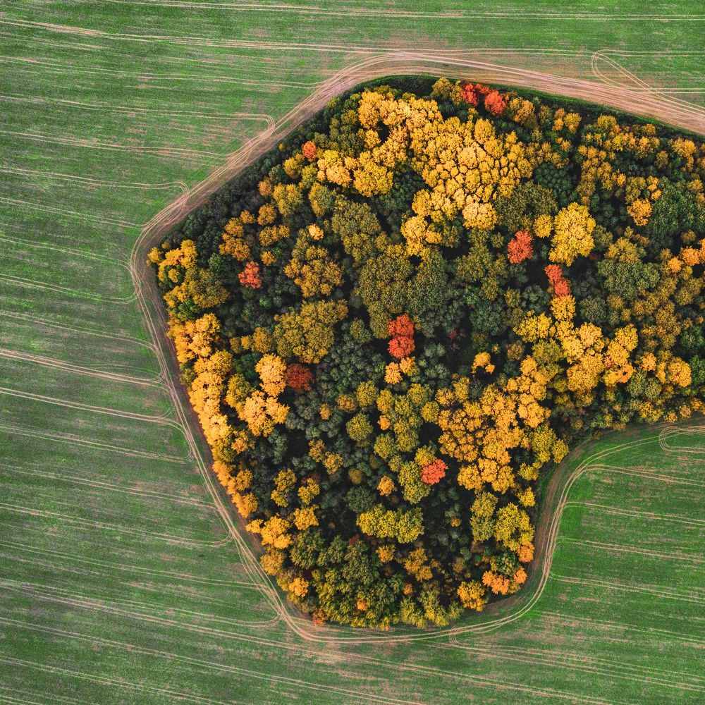 Photograph by Александр Давидик