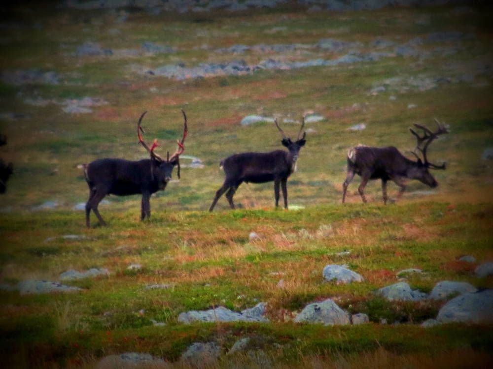 Photograph by Вера Морозова