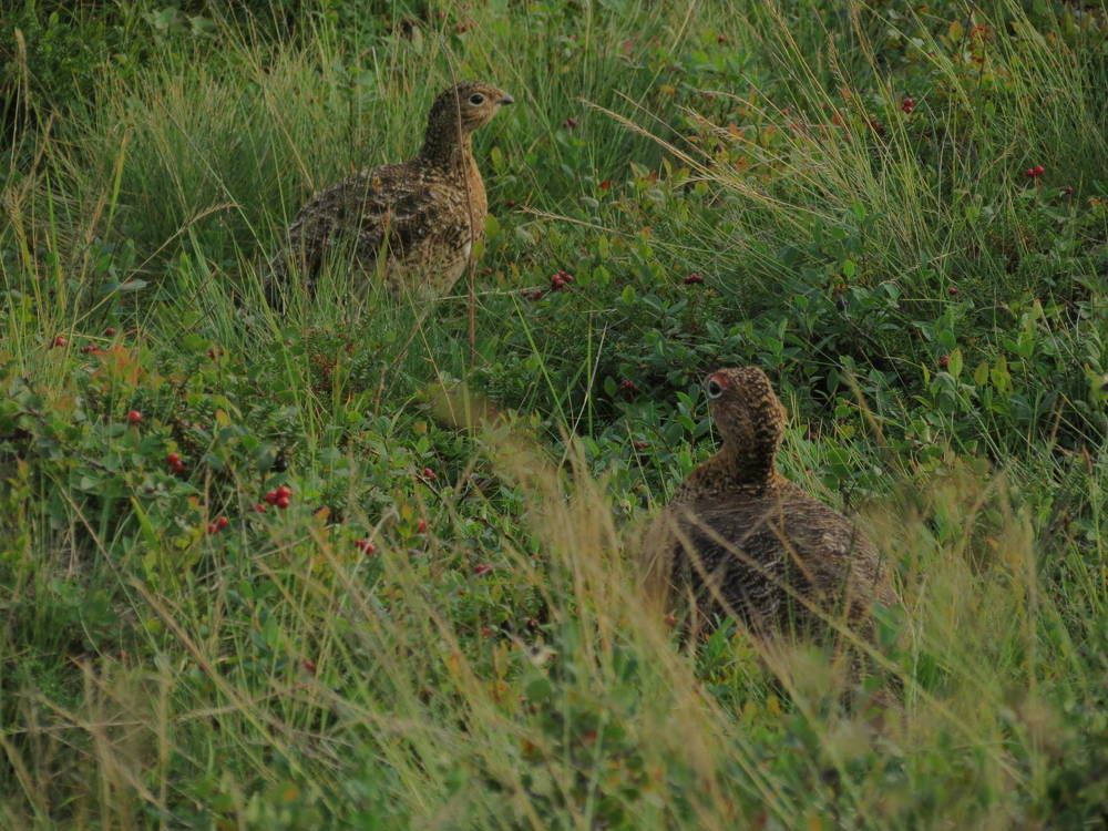 Photograph by Вера Морозова