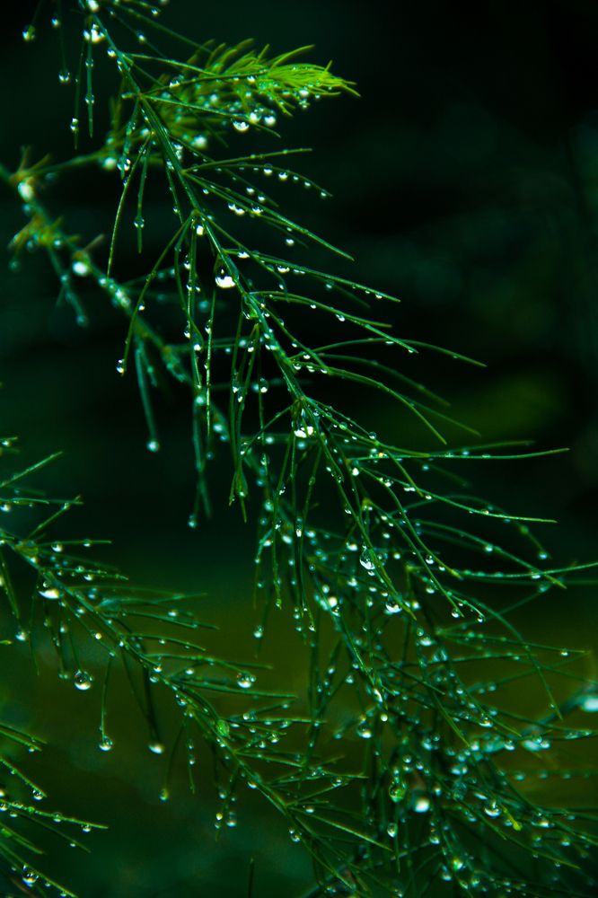 Photograph by Громова Мария