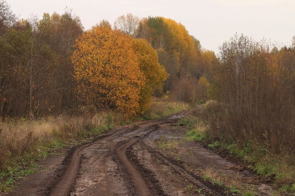 Фотография автора Андрей Шестаков