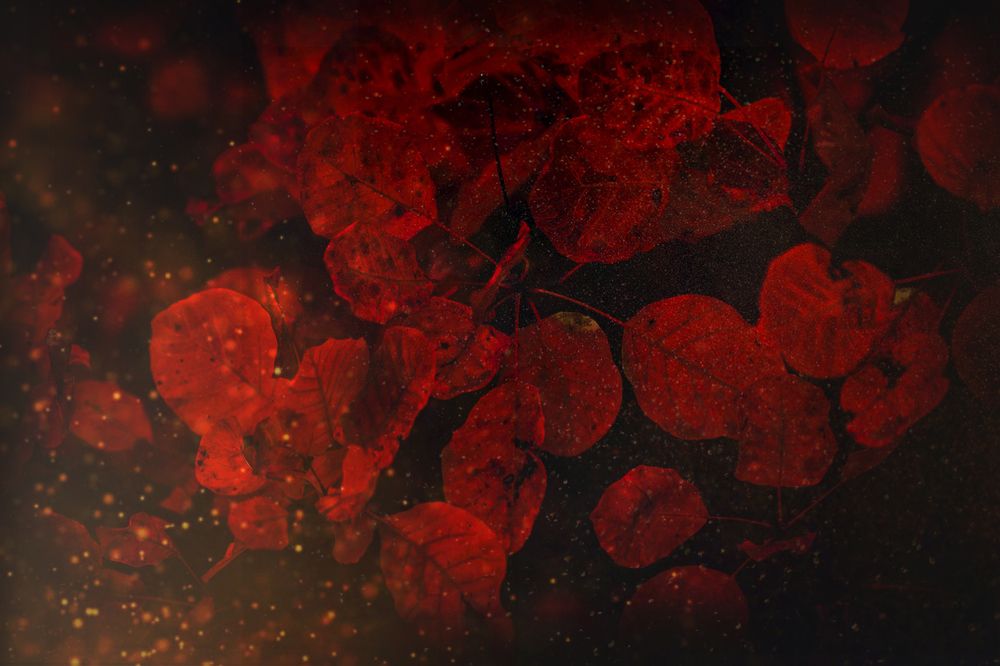 Photograph by Оксана Пономаренко