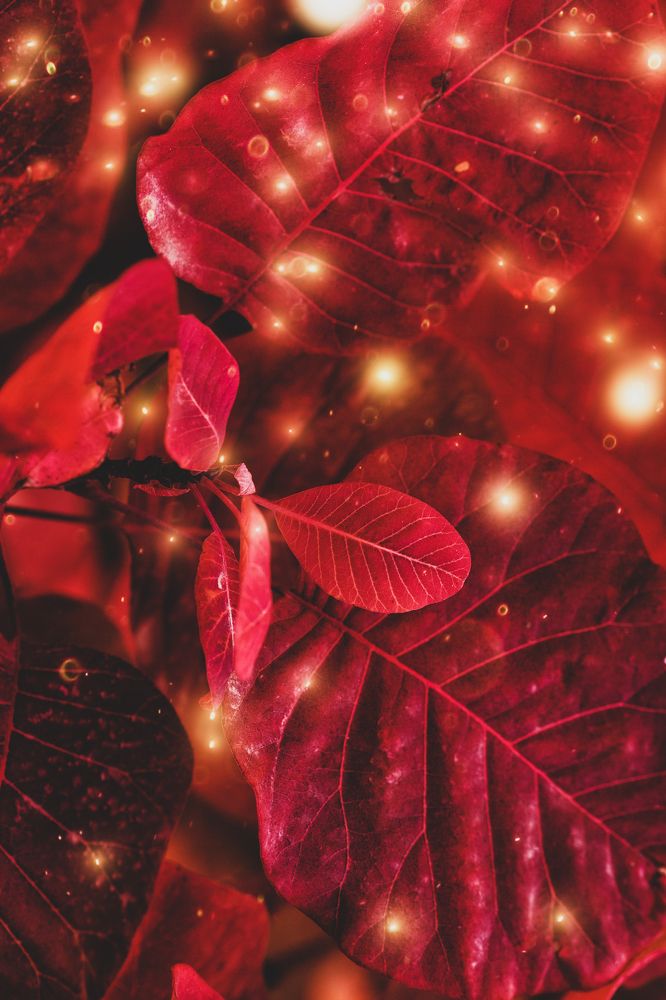 Photograph by Оксана Пономаренко