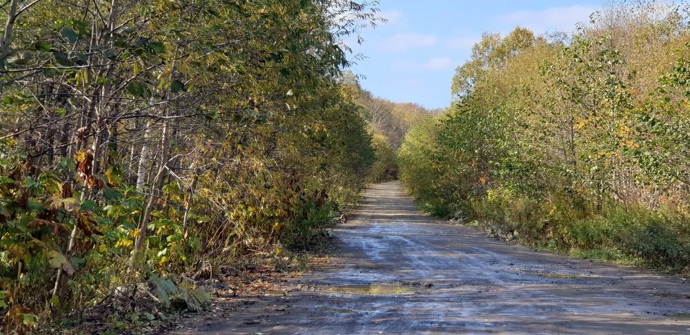 Photograph by Денис Заславский