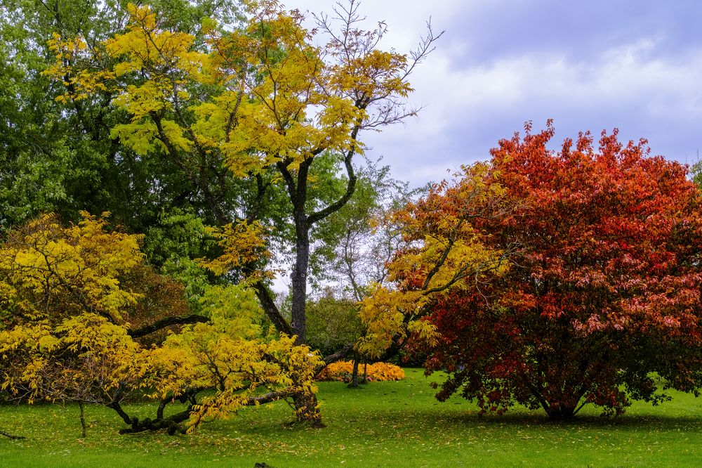 Photograph by Александр Творогов