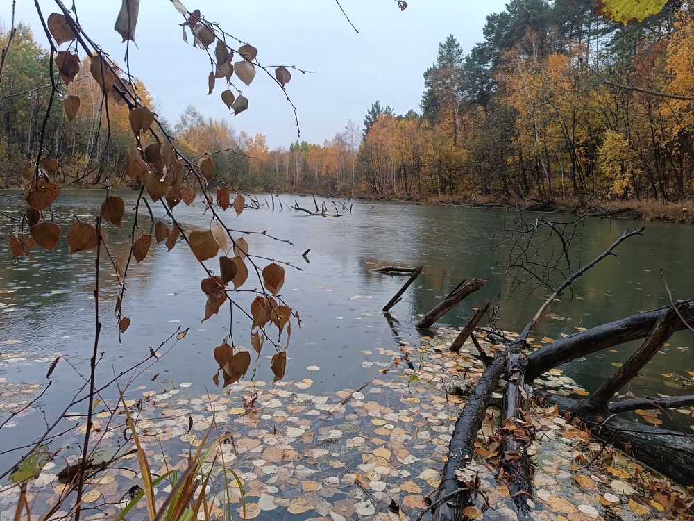 Фотография автора Екатерина Пачина