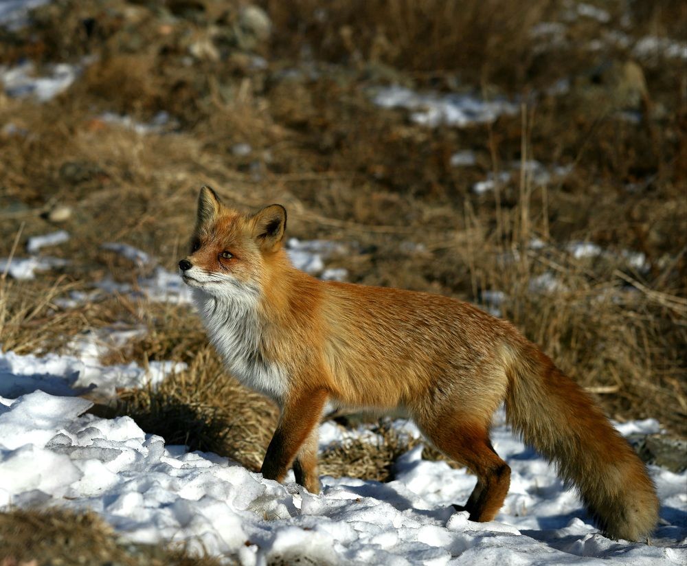 Photograph by Евгений Мельниченко