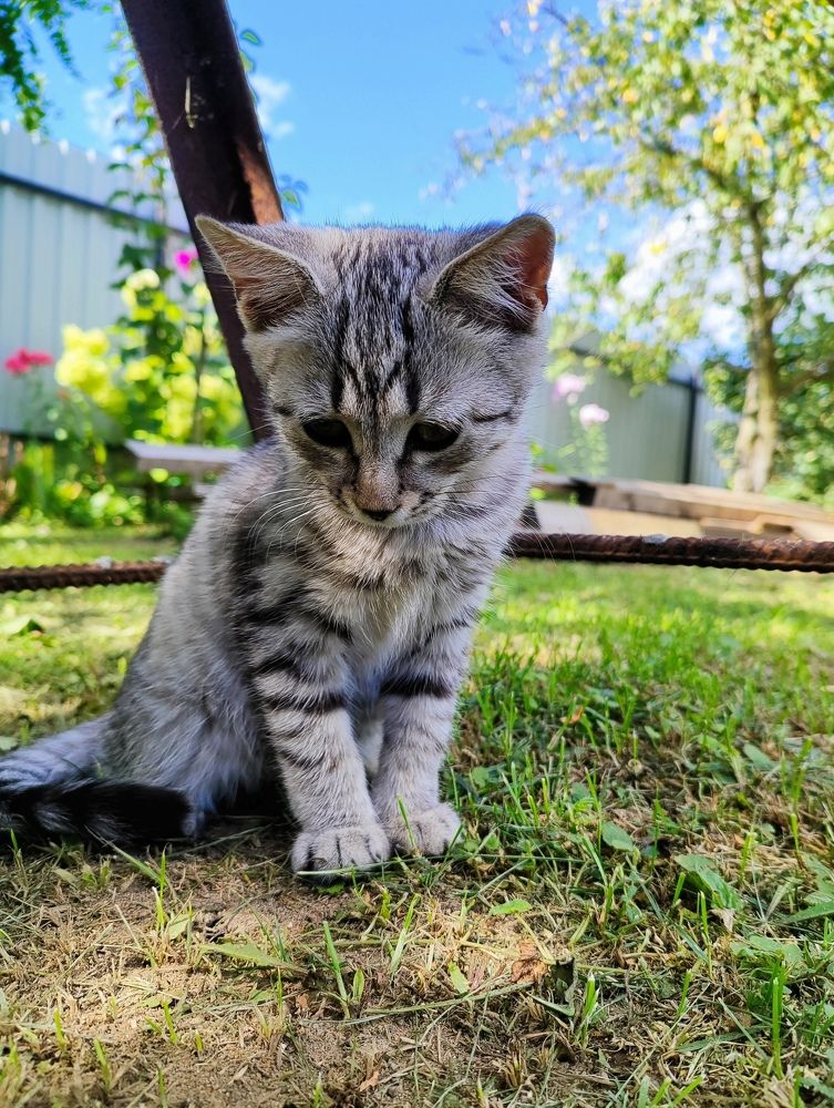 Photograph by Екатерина Борисовна Кузьмина