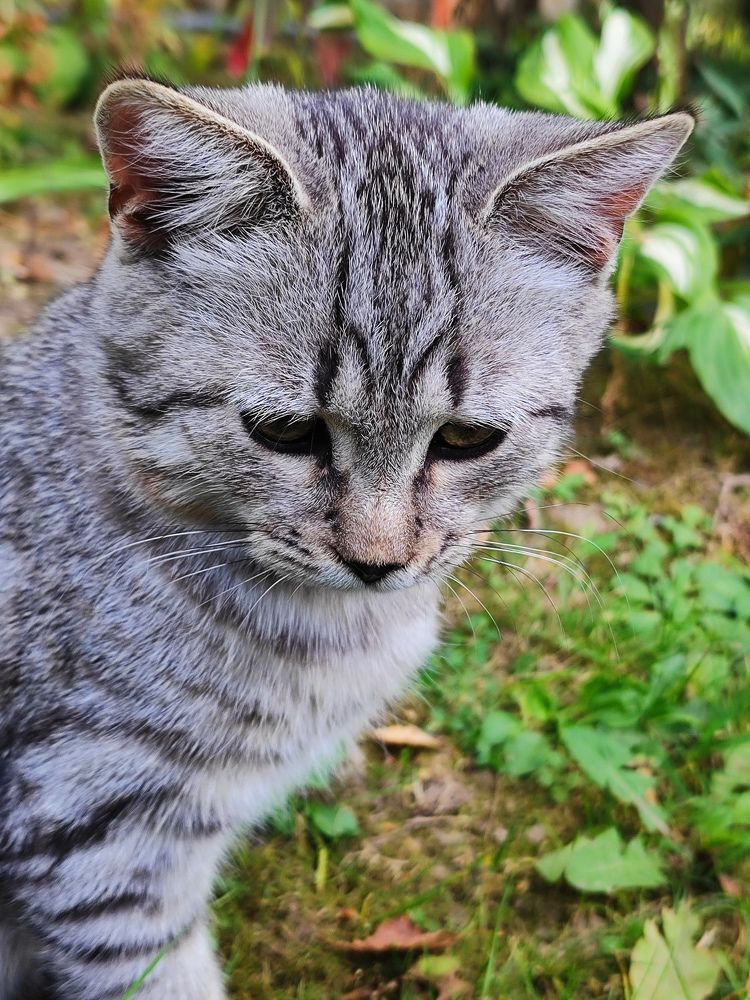 Photograph by Екатерина Борисовна Кузьмина