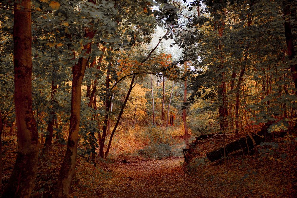 Photograph by Чурляев Максим